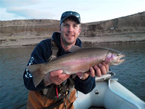 Get Your Wyoming Fishing License Today: Everything You Need .